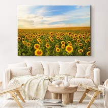 더 아트 컴퍼니 복을 부르는 재물운 금전운 풍수 황금해바라기그림 캔버스액자 43종 (1-16번), 2. 주홍 해바라기밭