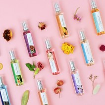 더허브샵 휴대용 가성비향수 데일리향수 9종 18ml, 블랙체리