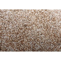 더덕씨앗 30g/50g/60g/더덕종자, 30g
