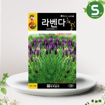 솔림텃밭몰 허브씨앗 라벤다씨앗 100립 라벤더 라벤다 허브씨