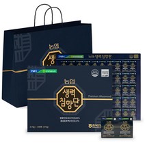 농협 생력침향환 3.75g x100환 쇼핑백, 상세페이지 참조, 상세페이지 참조