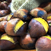 [팜쿡] 국내산 포르단밤(칼집) 5kg, 상세 설명 참조