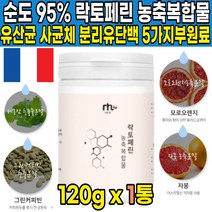 순도 95% 초유 락토패린 락토페린 농축물 모유 우유 분리유 단백 추출 분말 락토페린 lactoferrin 단백질 가루 분말 파우더 엠비피 mbp 모로오렌지 19종 유산균, 120g X 1통 + 알약케이스