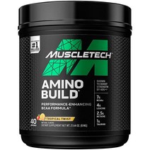 Muscle Tech 머슬테크 아미노 빌드 BCAA 7g 40서빙 614g