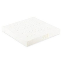 [누리홈] 천연 푹신한 5cm 라텍스 방석