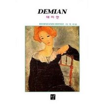데미안(주석판 22), 도솔