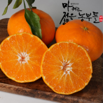 [마캐는젊은농부들]영파머스몰 제주 서귀포 산지직송 레드향 고당도 3kg 5kg 10kg 가정용 선물용 선물세트, 레드향 가정용 3kg.