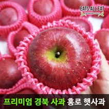 이츠올릿 경북 햇 홍로 부사 꿀 사과 껍질째 먹는 가정용 청송 안동 문경 장수