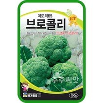 브로콜리 씨앗 100립 샐러드 채소 broccoli cauliflower seed