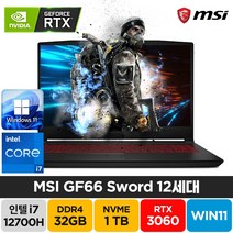 MSI Sword GF66 A12UE 인텔 12세대 i7-12700H RTX3060 윈도우11 노트북, GF66 Sword, WIN11 Pro, 32GB, 1TB, 코어i7, 블랙
