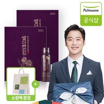 풀무원 지친일상에 건강선물 설 선물 엘더베리진 선물세트 10병 + 쇼핑백 증정, 2box