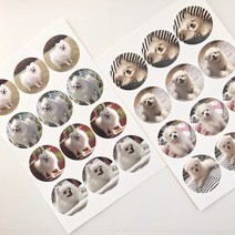 반려동물 굿즈 반려동물 판스티커 강아지스티커 고양이스티커, 45*45(mm), 15매