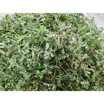 자연산 노지 햇쑥 생쑥 어린쑥 100g 300g, [2월말전후발송]어린쑥300g