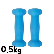 스타 네오프렌 아령 2개 0.5kg 덤벨 이두 삼두 운동 근손실, 블루