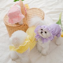 도그월드 강아지옷 체크 멜빵 호박바지 올인원 모자 포함, 체크 호박 바지 올인원 (모자포함), 보라