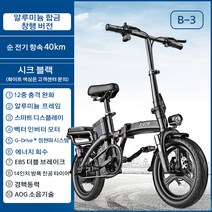 전기 전동 자전거 접이식 48V 2인용 자전거 32km-120km 에너지 회수, B-3