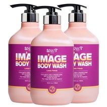 위스티 이미지 향기 좋은 등드름 완화 바디워시 러블리프렌즈 500ml, 3개