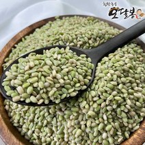 특품 2022년 햇 국산 녹미 녹진주 녹색쌀, 1개, 3kg
