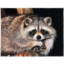 YISUMEI152.4 cm x 203.2 cm 담요 편안하고 따뜻하며 부드러운 플러시 천 덮개 소파용 귀여운 너구리 나무 위에 앉아 있음