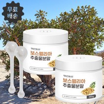 관절엔보스웰리아 추출분말 유항 유향나무 보수엘라 보스 웰릭산 보수 웰리아 엘리아 가루 250g/2통