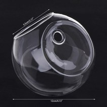 벽걸이어항 glass vase wall hanging hydroponic terrarium fish tanks potted plant flower pot dropship, 12cm