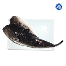 [아이스박스] 장수왕 국내산 반건조 밀복 손질 복어 2마리 (500g-600g내외) /생밀복 복지리 복요리 생복어 보양식 국산, 500g-600g내외