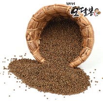 수입 들깨 생들깨 흑들깨, 1개, 3kg