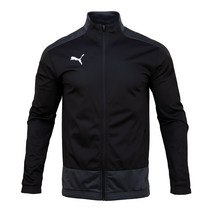 푸마 저지 65656103 팀골 23 트레이닝 재킷