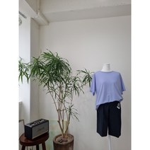 ELLE 학생복 5장 묶음 운동복 단체복 반티 라운드 티셔츠 100% 폴리원단 무지 컬러 여름 반팔티 기능성소재