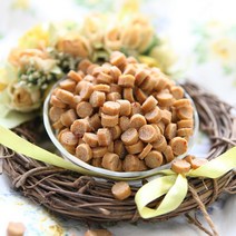 코코밥 피부트러블 없애는 연어사료 수제사료, 2.5kg, 연어