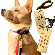 댕댕이가게 주문제작 강아지 고양이 명찰 인식표, 결제시 [필수 추가정보 입력] 란이 활성화됩니다, 한글