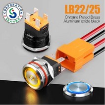 22mm 15A 대전류 메탈 금속 방수 DC 푸쉬 락 스위치, 2 락 - 블루(링타입), 1개