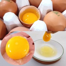 미네랄 바나듐 계란 40구 ( 목요일 발송 ) 국내유일 천연 유기미네랄 계란