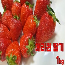 금실 고당도 죽향 메리퀸 딸기 1kg