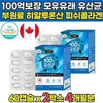 식약처 식약청 인증 인정 락토바실러스 락토바실루스 가세리 루테리 신바이오틱스 프리 프로 바이오틱스 데일리플렌 100억 모유 유래 유산균 캡슐 30대 40대 50대 60대 남성 여성, 60캡슐 X 2박스 (4개월분)