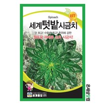 세계텃밭시금치 40g / 씨앗 종자 텃밭 섬초 월동 시금치 나물 채소, 400g