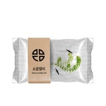 비즈컴 소금쟁이 관찰 자연 과학 초등 교과 수서 곤충 표면장력 물속 생물 물장군 연못, 단품