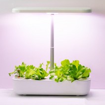 수경재배기 수경법 성장 시스템 12 포드 실내 허브 정원 Led 빛 스마트 가든 파종기 홈 주방 자동 타이머, 03 White-AU Plug