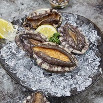 완도맘 활전복1kg(9~10미), 단품