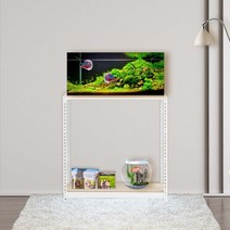 축양장 어항다이 선반 2단 700 x 500 x 600, 블랙