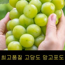 특급 샤인머스켓2kg 망고포도 샤인머스켓포도, 노마드마켓 샤인머스켓 2kg, 노마드마켓 본상품선택