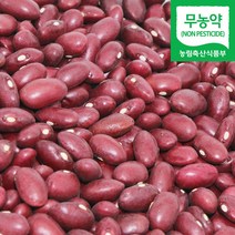 직송 국산 무농약 적강낭콩 빨간콩 붉은 강낭콩 홍대, 1개, 500g