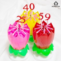 멜로디 연꽃초, 바이올렛