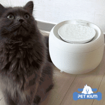 페키움 고양이 강아지 정수기 자동 급수기 음수대 저소음 온도유지, 1.쉿! 정수기 단품