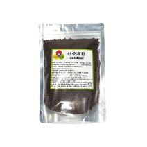국산 산수유 환 300g 구례 산수유 100%, 300g 1개