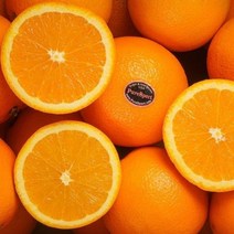 초특가세일 고당도 퓨어스펙 블랙라벨, 10과(중과)