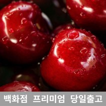 가락청과네 체리 2kg 바이오체리 생체리 가격 과일, 1, 본상품선택