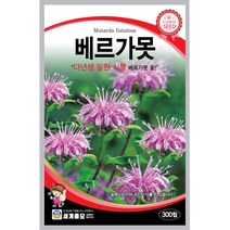 세계 베르가못 벨가못 모나르다 bergamot seed 씨앗 씨 꽃씨 종자, 백일홍