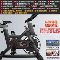 실내유산소 사이클 홈 가정용 홈트레이닝 자전거 헬스 스피닝, 블랙-게임앱-심박수