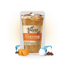 칸타타 파우치 카라멜 마끼아또 액상 커피 230ml 10팩